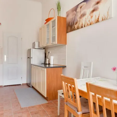 Apartment Apartment Spalena 15 Prague